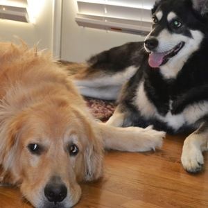 Meet your Posher, Kristie